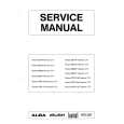 BSR P207 Manual de Servicio
