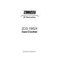 ZANUSSI ZCG7902XL Manual de Usuario