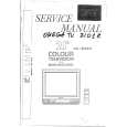 OMEGA CTV9021B/G Manual de Servicio