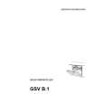 THERMA GSVB1WS Manual de Usuario