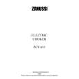 ZANUSSI ZCE631X Manual de Usuario