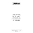 ZANUSSI ZDE320IX Manual de Usuario