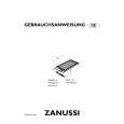 ZANUSSI DGF310X Manual de Usuario