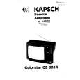 KAPSCH CS8314 Manual de Servicio