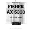 FISHER AX5300 Manual de Servicio