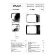 WEGA 3054 Manual de Servicio