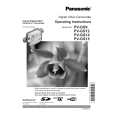 PANASONIC PVGS14 Manual de Usuario