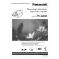 PANASONIC PVGS65 Manual de Usuario