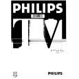 PHILIPS 21PT532B/39 Manual de Usuario