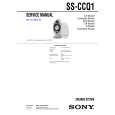 SONY STRK751P Manual de Servicio