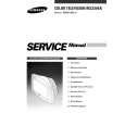 SAMSUNG WS28W8VDES Manual de Servicio