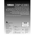 YAMAHA DSP-E390 Manual de Usuario