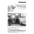 PANASONIC KXTG2346S Manual de Usuario