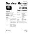 PANASONIC TX29AD1 Manual de Servicio
