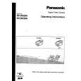 PANASONIC NV-DS28 Manual de Usuario