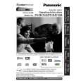 PANASONIC PVD4743 Manual de Usuario