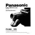PANASONIC PV800D Manual de Usuario