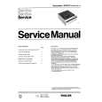 PHILIPS N250704 Manual de Servicio