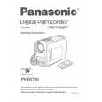 PANASONIC PVDV710 Manual de Usuario