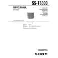 SONY SSTS300 Manual de Servicio