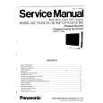 PANASONIC 21GV2 CHASSI Manual de Servicio
