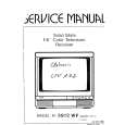 CLATRONIC CTV172 Manual de Servicio