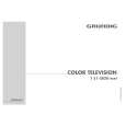 GRUNDIG T 51-3050 TEXT Manual de Usuario GRUNDIG T 51-3050 TEXT Manual de Usuario