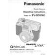 PANASONIC PVSD5000 Manual de Usuario