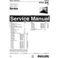 PHILIPS FTV1.9DE Manual de Servicio