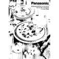 PANASONIC NNK256 Manual de Usuario