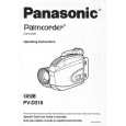 PANASONIC PVD318D Manual de Usuario