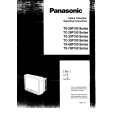 PANASONIC TX33P100 Manual de Usuario