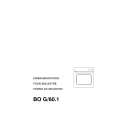 THERMA BO G/60.1 INOX Manual de Usuario