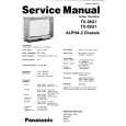 PANASONIC TX25G1 Manual de Servicio