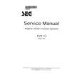 SEG DVR10 Manual de Servicio