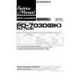 PIONEER PD-7030 Manual de Servicio
