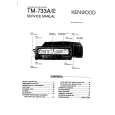 KENWOOD TM-733E Manual de Servicio