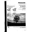 PANASONIC NVDS15ENC Manual de Usuario