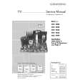 GRUNDIG M72100/8A Manual de Servicio