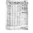 PANASONIC TX-25X1DP Manual de Usuario