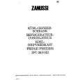 ZANUSSI ZFC20/8RD Manual de Usuario