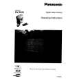 PANASONIC NV-EX21 Manual de Usuario