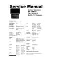 PANASONIC TX-47PT10F Manual de Servicio