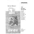 GRUNDIG T51731TXT Manual de Servicio