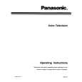 PANASONIC CTP31XF30 Manual de Usuario