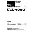 PIONEER CLD-52 Manual de Servicio
