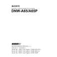 SONY DNW-A65P Manual de Servicio