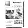 PANASONIC PVC2010 Manual de Usuario
