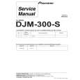 DJM-300-S/NK DJM-300-S/NK