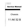 VESTEL 11AK52B Manual de Servicio